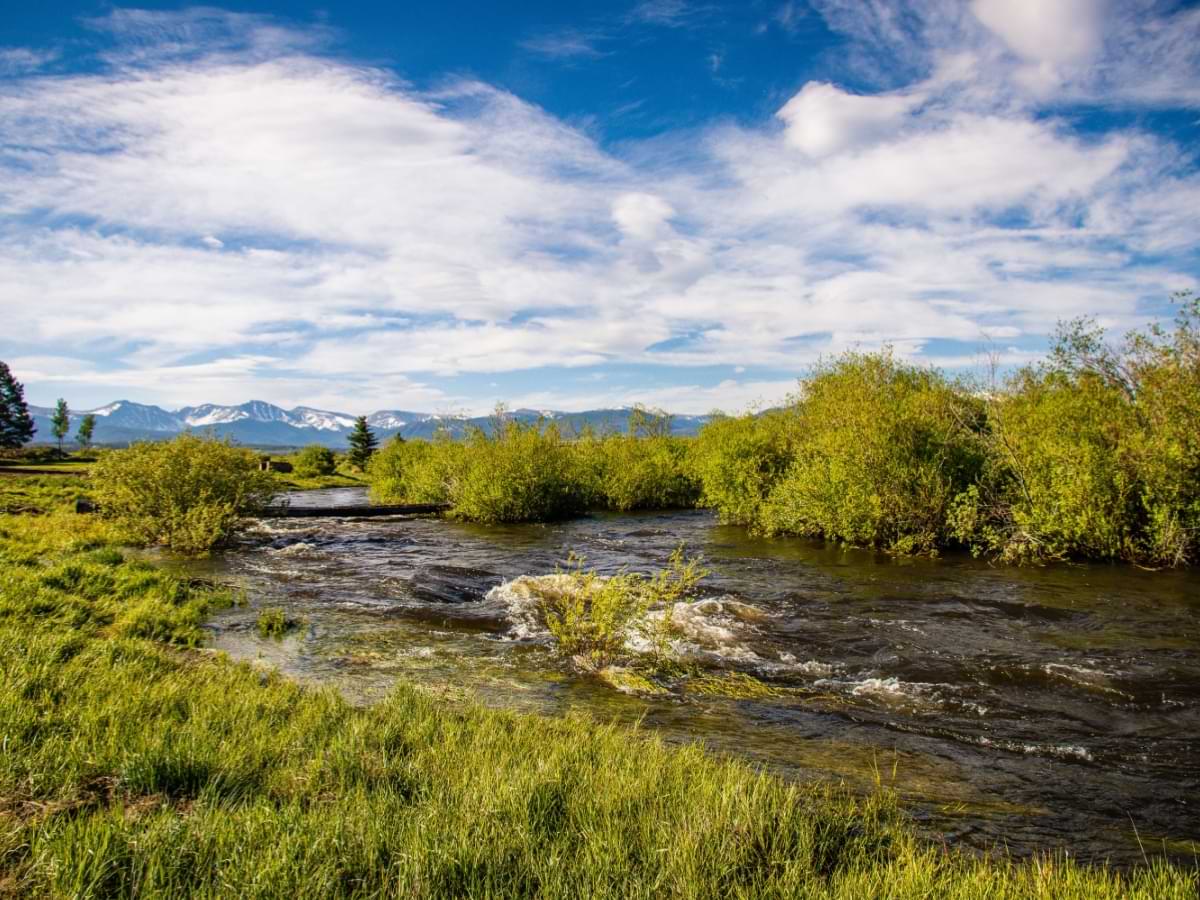 Image for Spring Sale (15%)